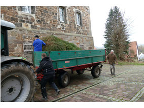 Es weihnachtet in St. Crescentius (Foto: Karl-Franz Thiede)